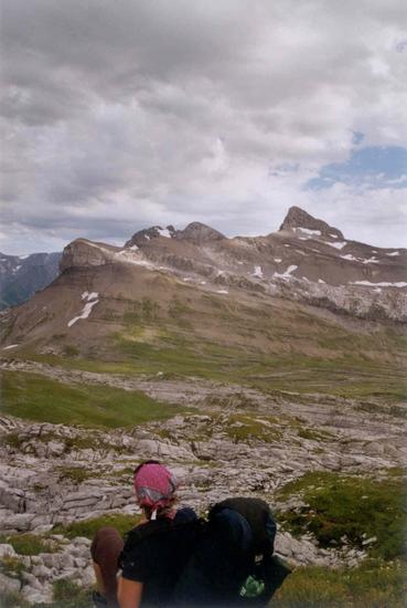 Brunnalpelihöchi