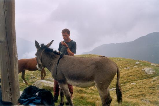 Alp de Rossiglion